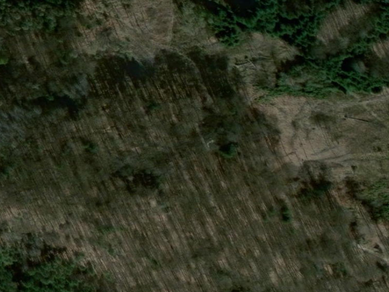 Tábor's Overgrown Military Grid