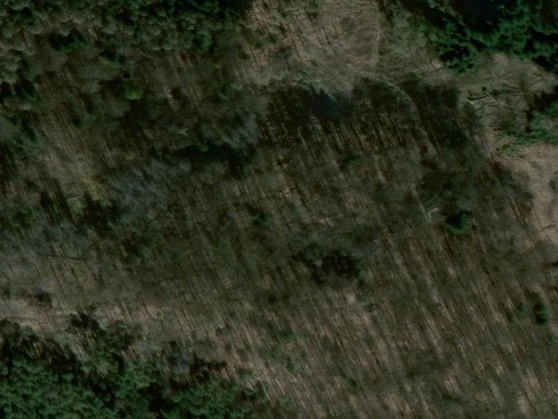 Linear Scars of Tábor Forest