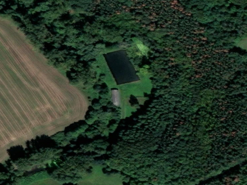 Beroun's Hidden Woodland Monolith