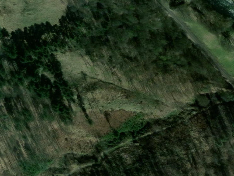 Benešov Hidden Forest Earthworks
