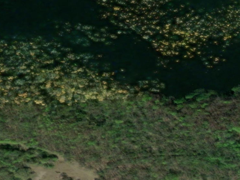 Submerged Limestone of Beroun