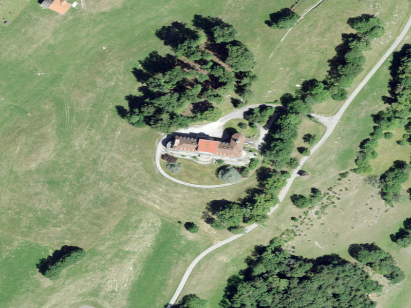 Haut-Intyamon's Crescent-Walled Alpine Manor